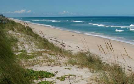 BeachDune-RayMojica