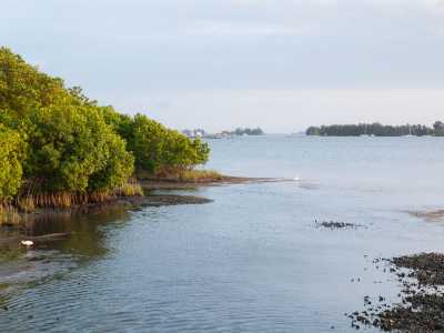 IndianRiverLagoon